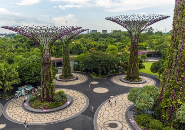 טיולים מאורגנים להונג קונג, מקאו וסינגפור טיולים מאורגנים להונג קונג, מקאו וסינגפור